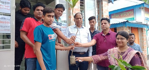Dhamrai news_GF seedlings bitoron