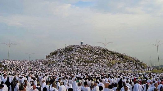 Haj1
