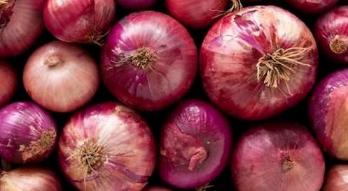 1702025313.onion