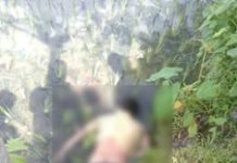 ত্রিশালে ধানখেতের পাশ থেকে যুবকের মরদেহ উদ্ধার