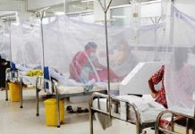 ডেঙ্গুতে ২৪ ঘণ্টায় ১০ জনের মৃত্যু, হাসপাতালে ভর্তি ১০৬৯