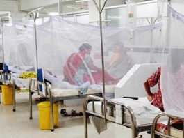 ডেঙ্গুতে ২৪ ঘণ্টায় ১০ জনের মৃত্যু, হাসপাতালে ভর্তি ১০৬৯