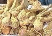 রাজধানীতে লাশ চুরির জমজমাট ব্যবসা তুঙ্গে! শক্তিশালী সিন্ডিকেট জড়িত