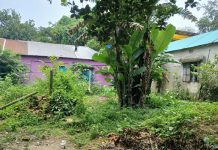 পূবাইলে জমি বিক্রি করতে না পেরে মৃত্যুর মুখোমুখি পরপর দুইবার হার্ট অ্যাটাকের রোগী