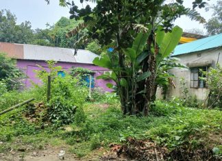 পূবাইলে জমি বিক্রি করতে না পেরে মৃত্যুর মুখোমুখি পরপর দুইবার হার্ট অ্যাটাকের রোগী